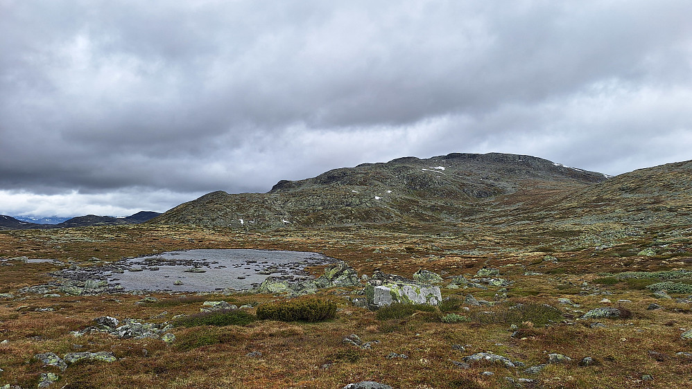 Såta.