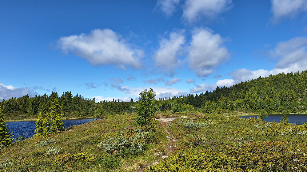 Sti mellom Restjørnane.