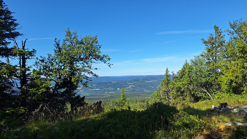 Bergevassknotten. 