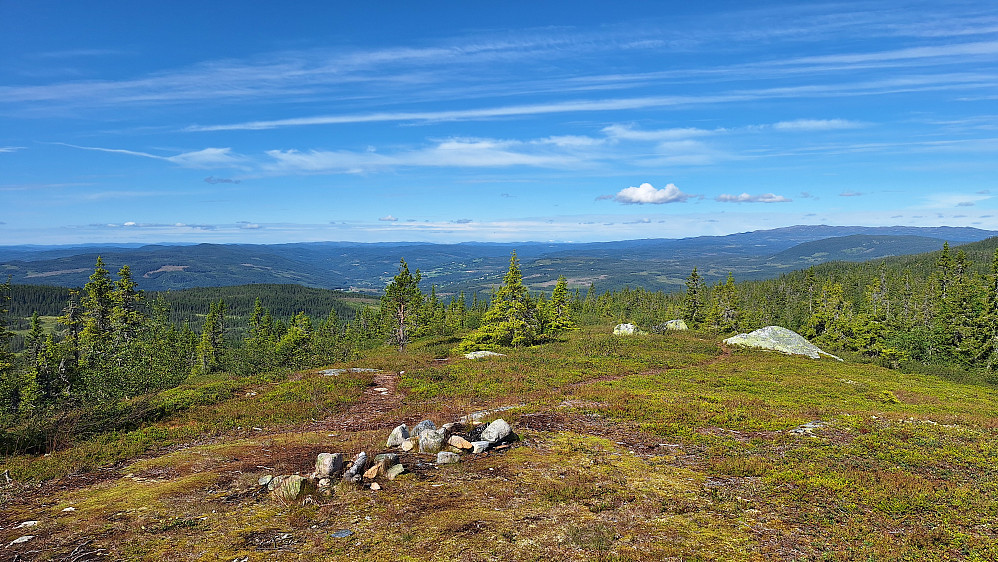 Skinnerlifjellet.