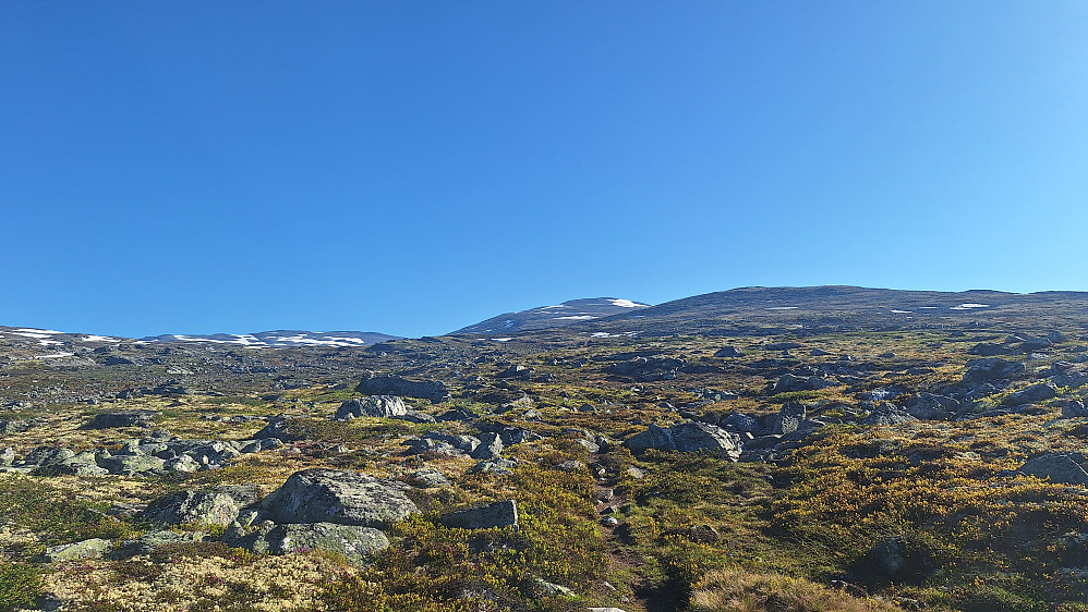 Storhøe i sikte.