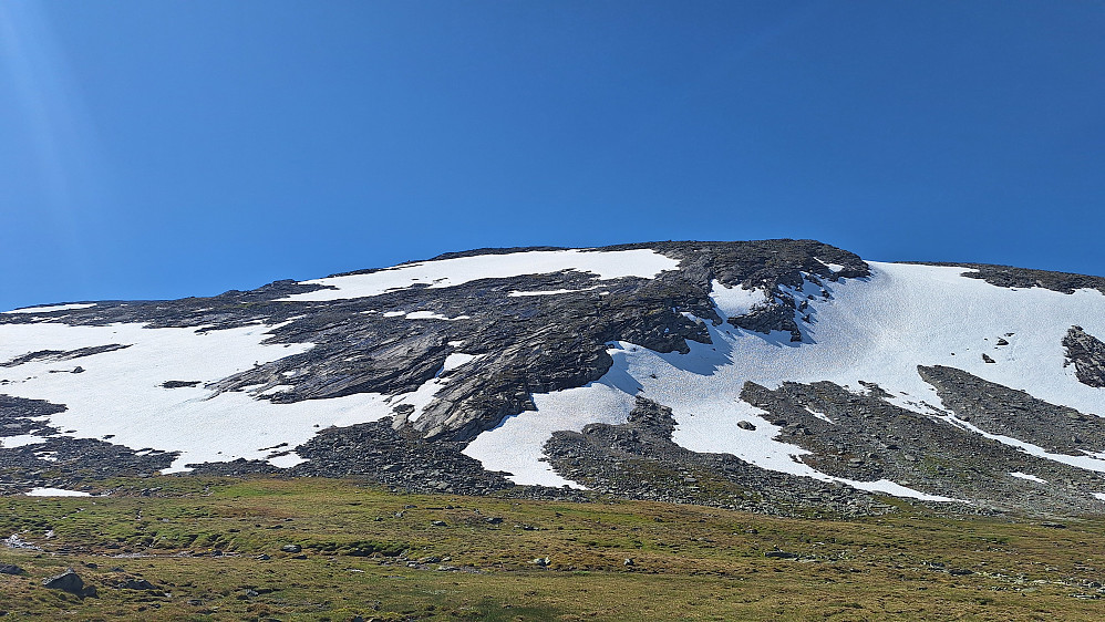 Kom meg ned svaene midt i bildet mellom snøfeltene. 
