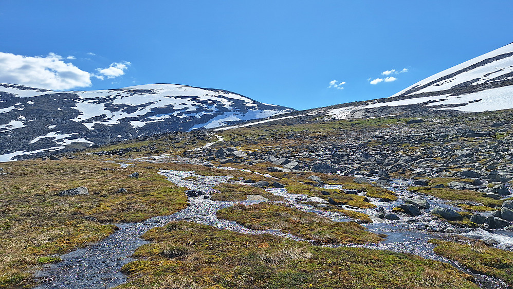 Smeltevann overalt. 