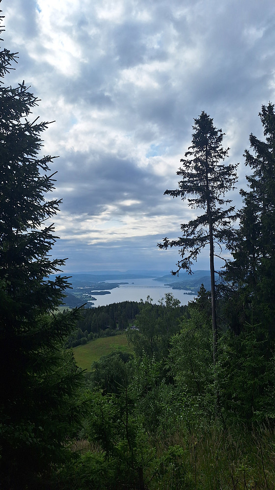 Utsiktspunkt Biskopåsen.