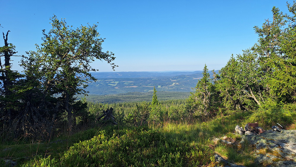 Bergevassknotten. 