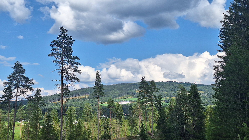 SAR Queen henger over åsen på søk etter den savnede 83-åringen ved Kvernstubrua.