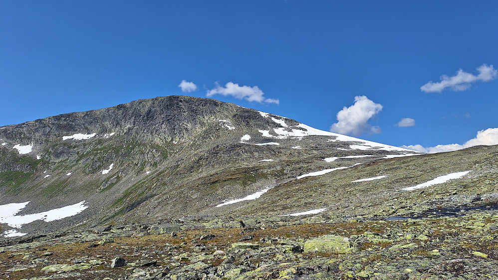 Salhøa. 