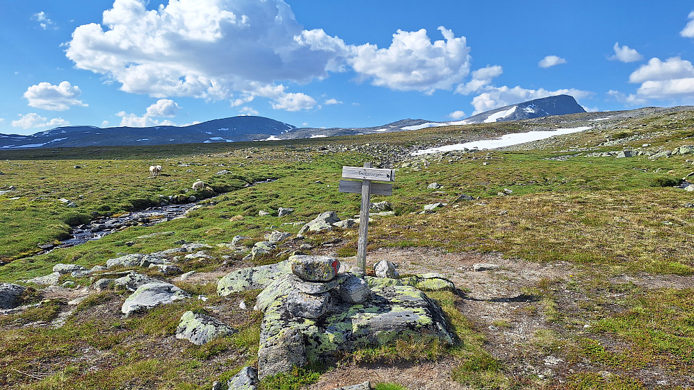 Stikryss ved Telranden mot Storskrymten og Salhøa.