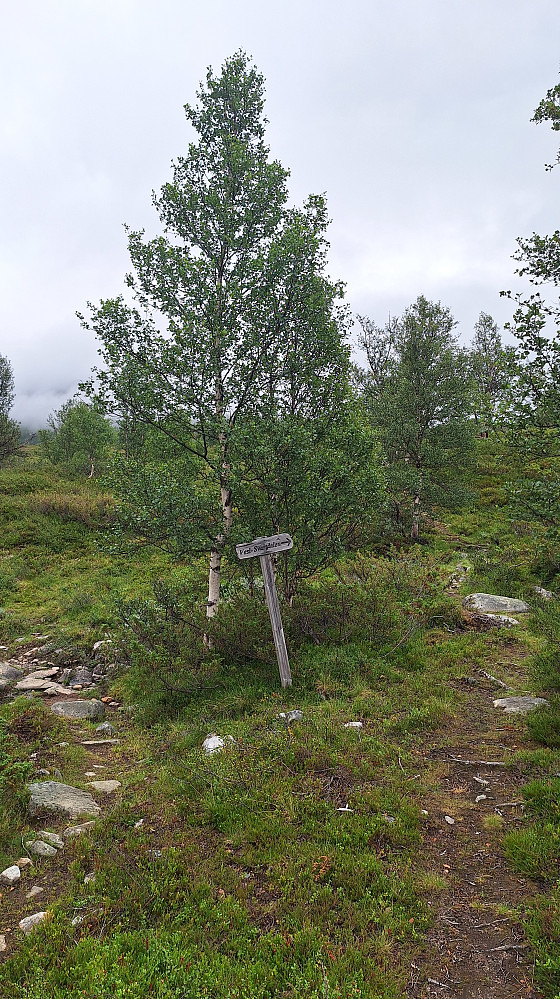 Stikryss Veslsvartdalen.