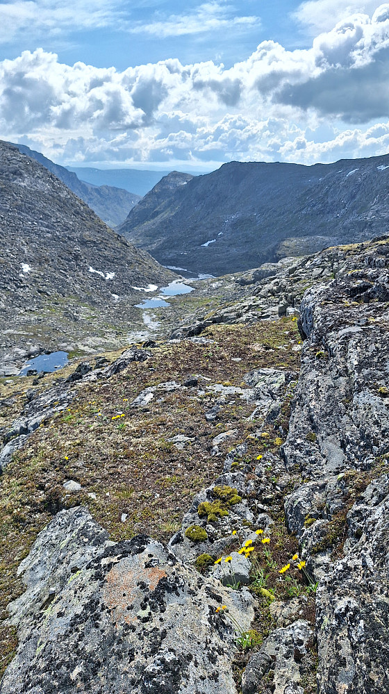 Veslsvartdalen sett fra øverste del. Gikk venstresida nedover. 