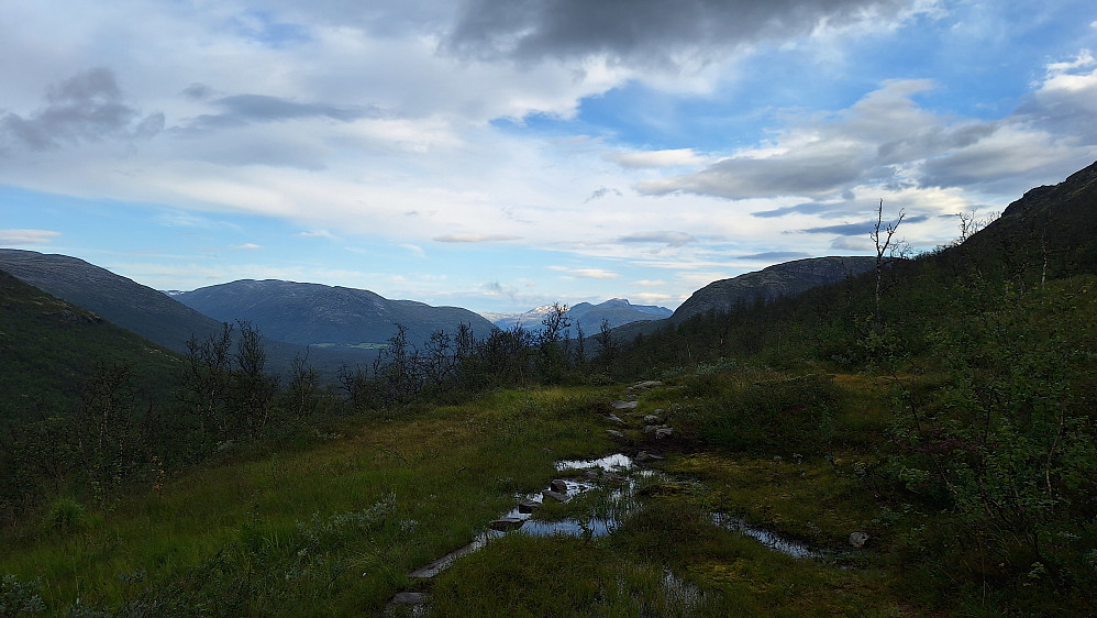 Mye regn mellom Dombås og Bjorli, men det ga seg et stykke opp i skogen. 