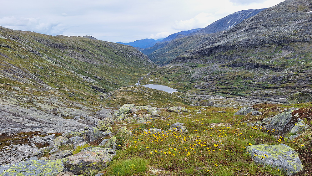 Dumdalen.