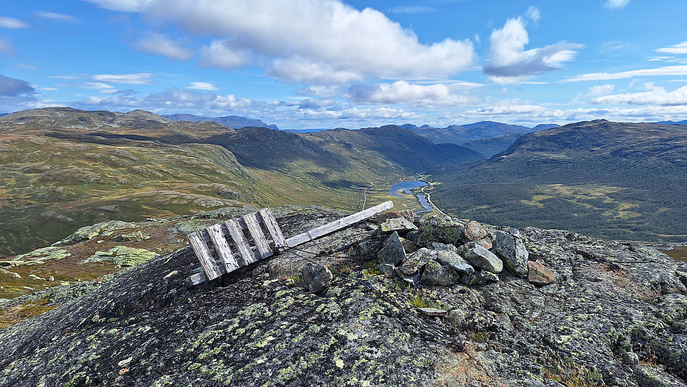 Bakkestølnøse. 