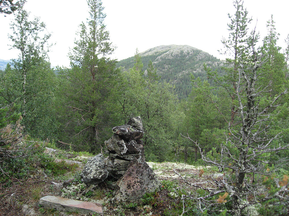 Vetahøe.