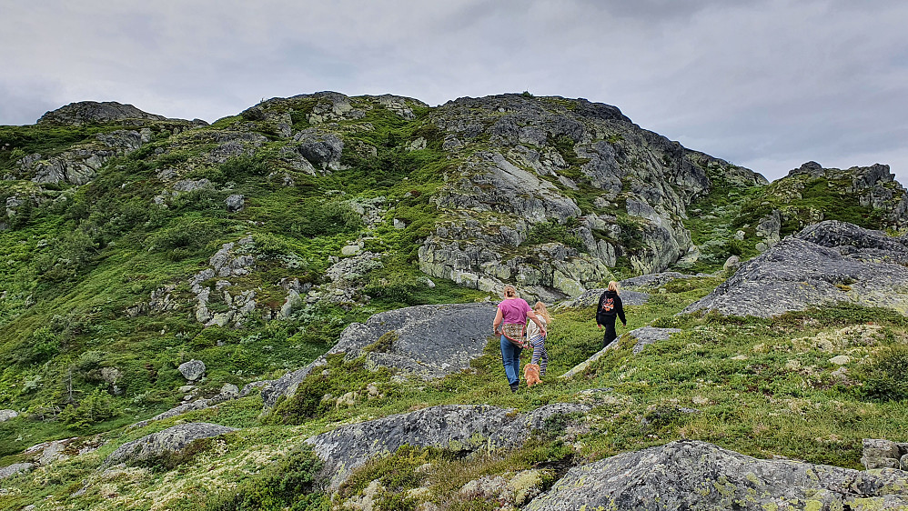 Vi gyver løs på siste kneika mot toppen av Mjøltenuten. Toppvarden kan skimtes øverst på fjellet litt til høyre for midten av bildet.