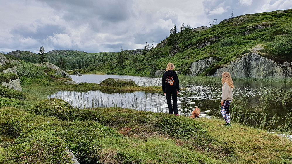 Fra returen, hvor vi er tilbake ved det største tjernet vi passerte. Luna vurderer sterkt om det er verdt å ta en dukkert for å hente pinnen som ble kastet uti vannet.