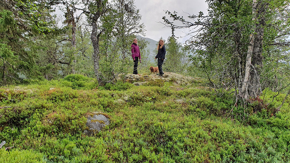 Alle tre jentene på toppen av Langås (800).
