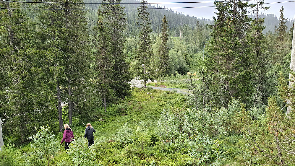 Straks tilbake ved hytta, som ligger skjult bak trærne i høyre bildekant.