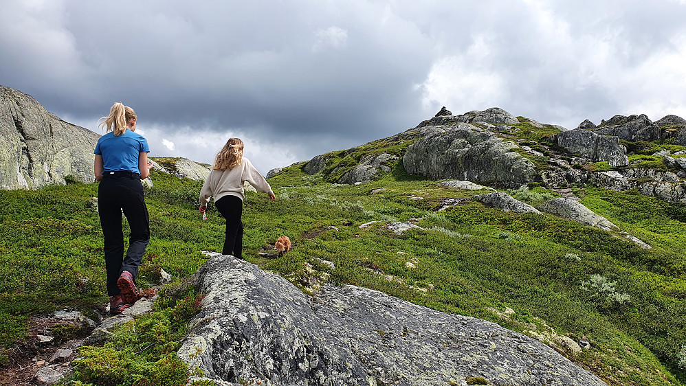 Få meter igjen til toppen av Heidalsnutan (1103) nå, hvor toppvarden er godt synlig oppe til høyre.
