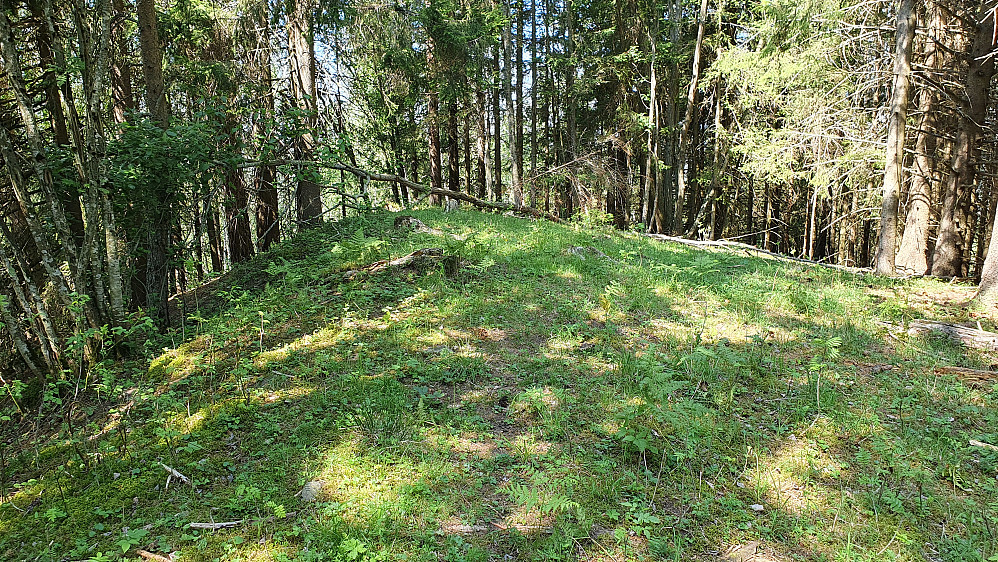 Toppunktet på Trostberget.