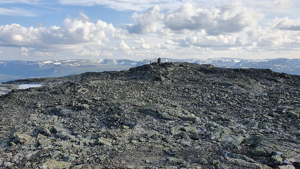 Blåbergi trig.punkt (1802) sett fra nord. Langt bak ses Hallingskarvet.