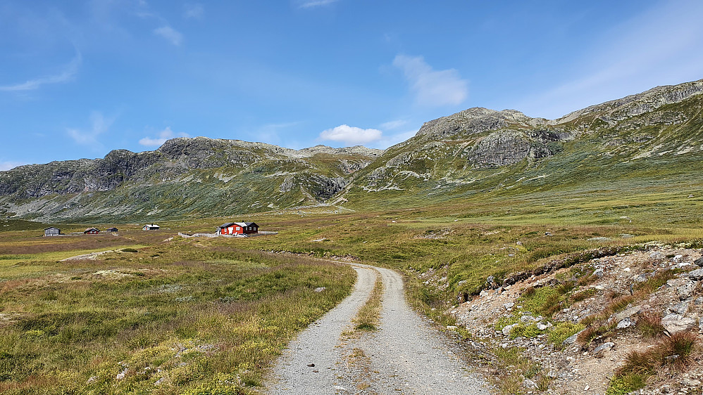 Til venstre er Øvre Blomestølen, og jeg nærmer meg veiens ende. Stien gikk opp langs høyre side av bekkefaret midt i bildet.