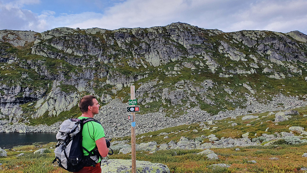 Øverst kan man se toppvarden på Bergshammaren. I luftlinje er det her kun 225 meter til toppen, men følger man stien som vi gjorde, er det 1,3 km igjen.