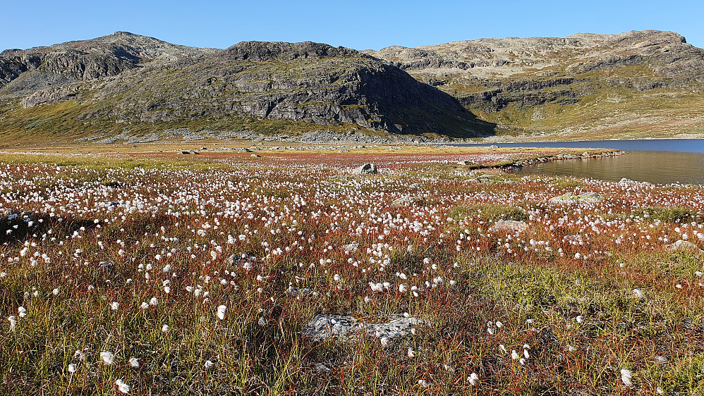 Myrull på vestsiden av Julsennvatnet, som ses til høyre i bildet. Toppen oppe til venstre er Julsennuten (1656), mens Julsennose (1649) er i bakgrunnen lengst til høyre.