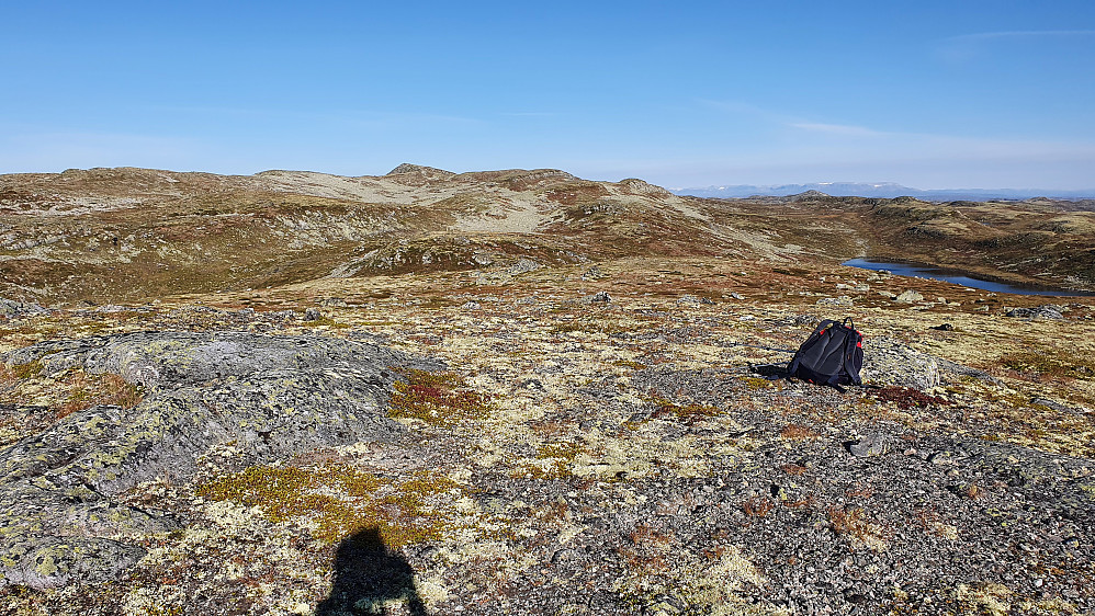 Jeg står på Sør for Styggetjønnan (1377) og ser mot neste mål, Synhovd (1437), som er litt til venstre i bakgrunnen.