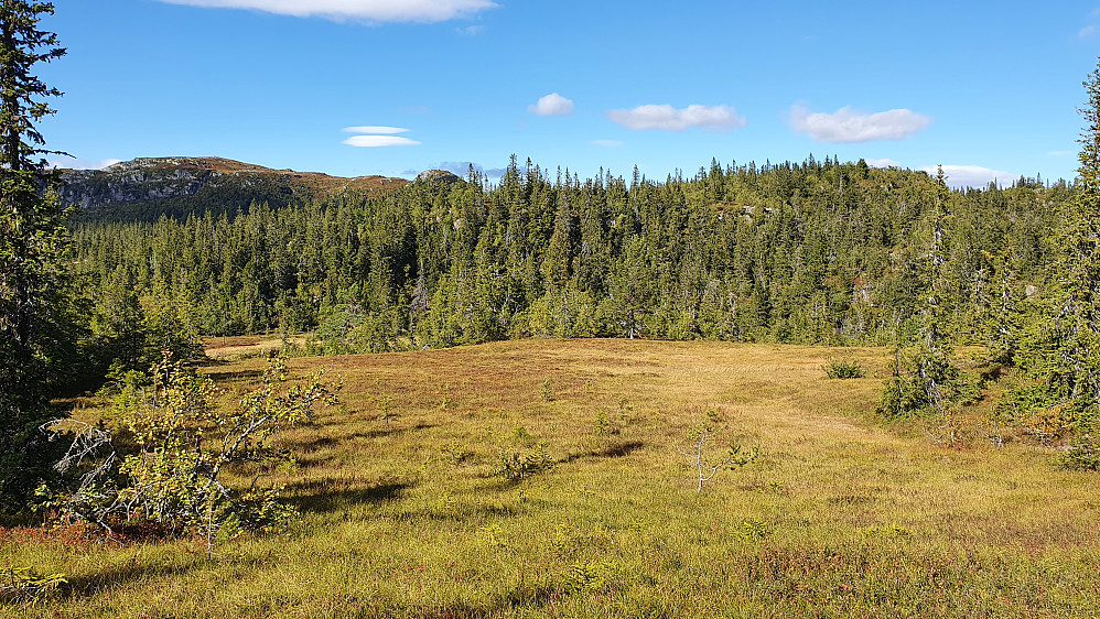 På en myr litt nord for toppen Øst for Elgtjenn (905). Skogstoppen til høyre er Sørøst for Rønningsetra (941). Bakerst til venstre ses Toskardfjellet (1092).