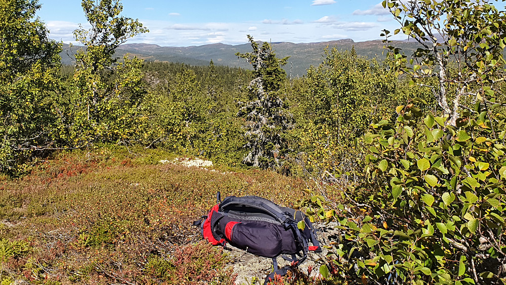 Litt utsikt var det fra toppen Sørøst for Rønningsetra (941). Bildet er tatt nordover.