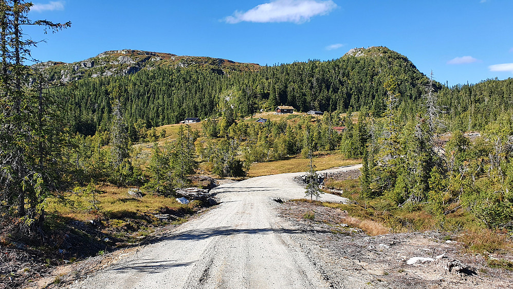 Bølesetra og Rønningsetra sett fra den nyanlagte grusveien. Kollen oppe til høyre er Toskardfjellet Øst (1063). Selve Toskardfjellet er til venstre.