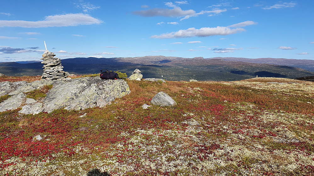 Toppunktet på Bergetseterfjellet (1107). I bakgrunnen er Norefjell.