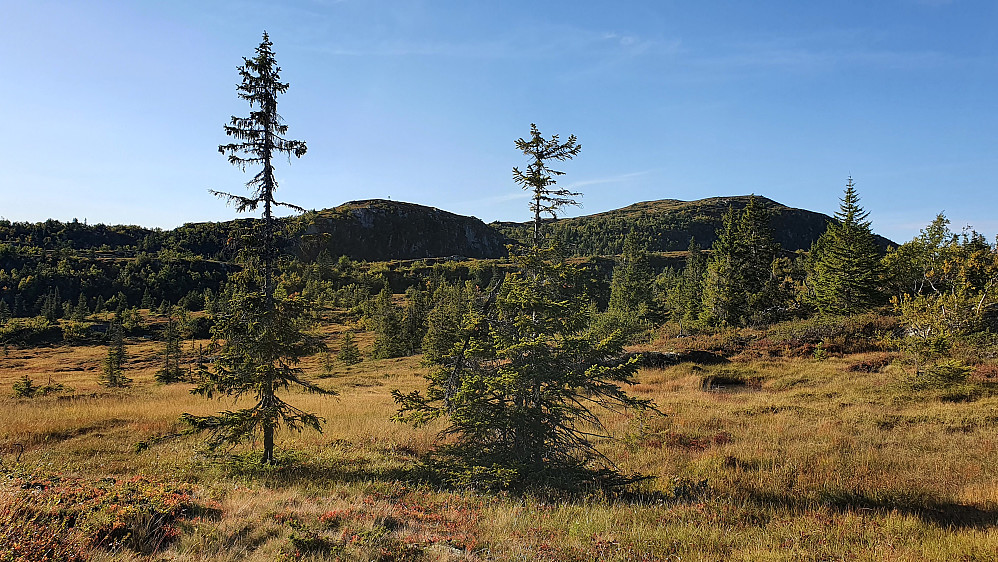 Tilbakeblikk mot Bergetseterfjellet Sør (1066), som er mellom de to høyeste granene, og Bergetseterfjellet (1107). Sistnevnte til høyre i bildet.