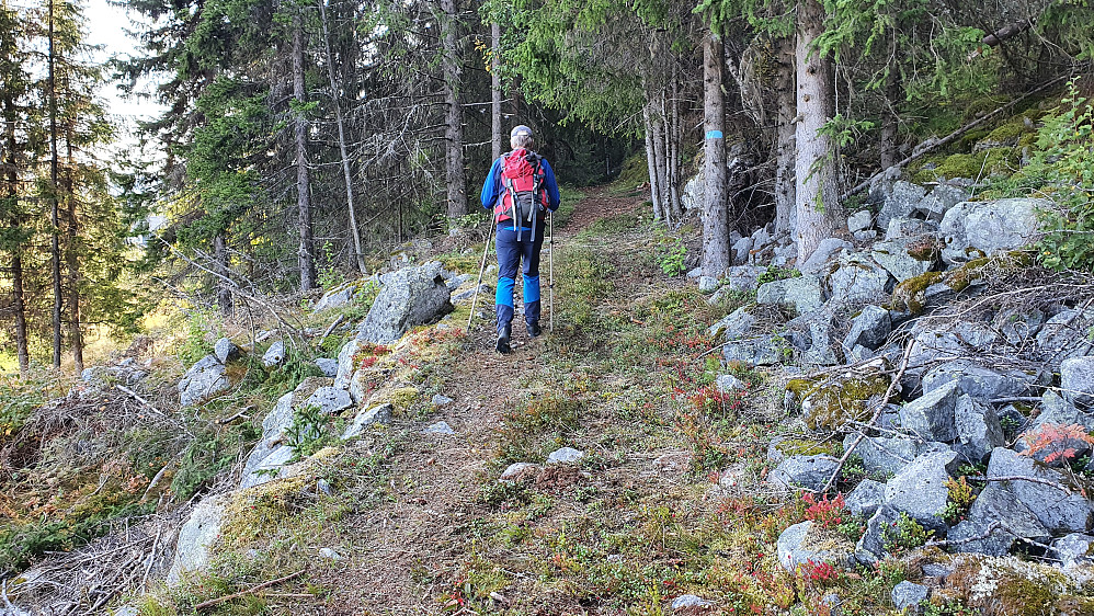 På stien, like etter at vi hadde forlatt grusveien ved Påverud. 