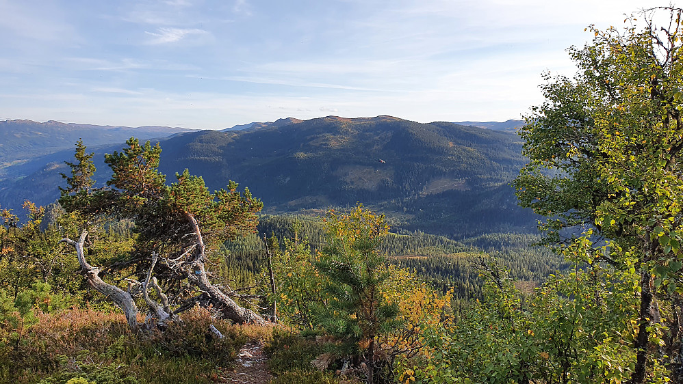 Utsikt fra stien under oppstigningen. Her med utsyn sørover. Litt til høyre for midten og foran åsen i bakgrunnen, ses et helikopter som passerte.