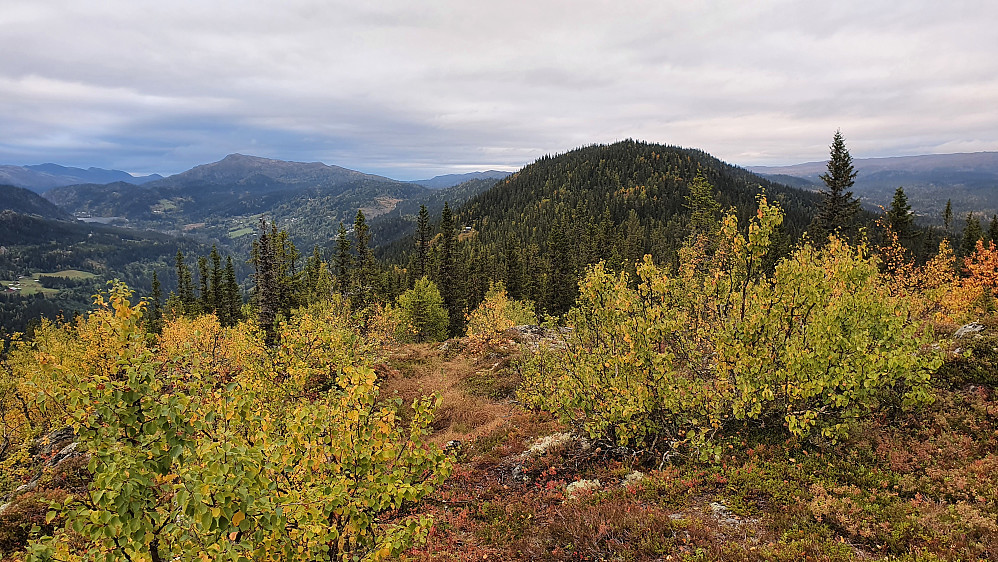 Utsikt nordover fra Landsnipen (930). Åsryggen jeg hadde gått fra Ringputtåsen Sør (990), er litt til høyre i bildet. Lengre bak og til venstre ses Skarpenord (1215).