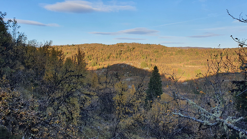 Jeg er på vei nedover østsiden av Langfjellet og ser over mot neste turmål, Vest for Knutstul (1091), som er litt til venstre i bildet.