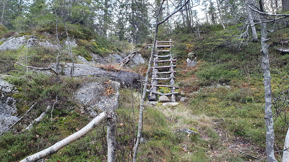 I nederste del av Beinskard, hvor jeg kom ut av bekkedalen. Et par stiger var satt opp her i det bratteste partiet.