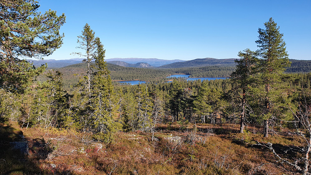 Jeg er på vei nedover traktorveien litt øst for toppen av Konnuliåsen. Utsikt mot nordøst. Innsjøen midt i bildet er Myklevatn. Helt bakerst ses Norefjell.