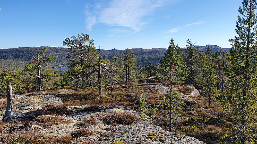 Utsikt mot sørøst fra toppen av Bjørnhølfjellet (770).