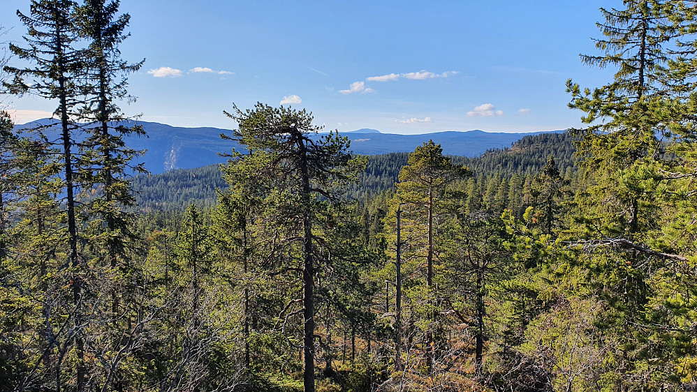 Under nedstigningen fra Bjørnhølfjellet, med litt utsikt mot sørvest. Gaustatoppen stikker opp langt bak midt i bildet.