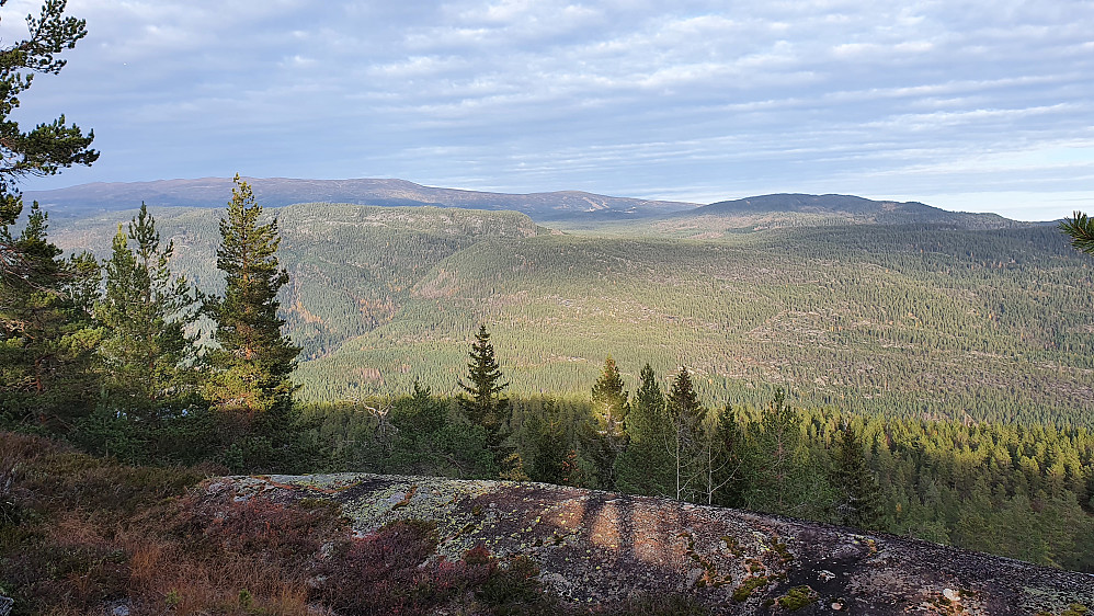 Utsikt mot Norefjell fra Ulaåsen. Åsen til høyre er Vardefjell (834).