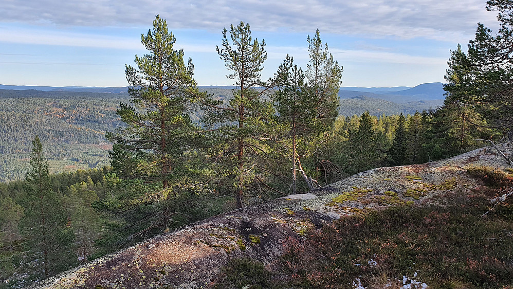 Utsikt mot sørøst fra Ulaåsen. 