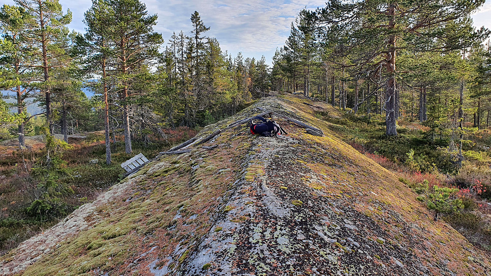Rester etter trig.punktet på toppen av Ulaåsen (545). Bildet tatt sørover.