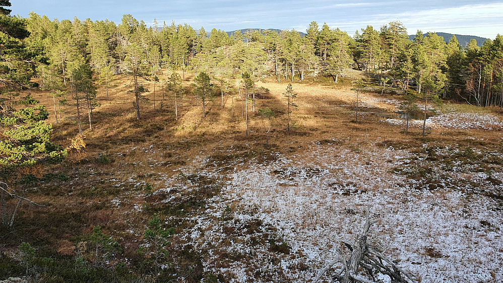 Hesteskotjennmyra. På det mest skyggefulle området lå det fortsatt igjen rester etter snøfallet noen dager tidligere.