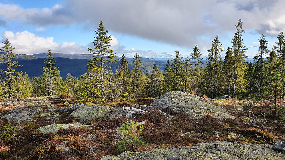 Utsikt mot sørøst fra toppen av Lauvskardfjellet. Den vesle, men tydelige kollen i bakgrunnen midt i bildet, er Tjuvenborgen (688).