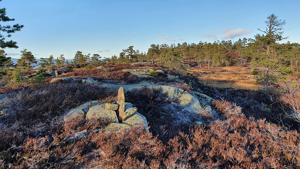 Lindumvardens toppunkt er bak til høyre i bildet. Her er jeg på ryggen ca 350 meter sør for toppen. Enkelte varder viser hvor stien går også her.