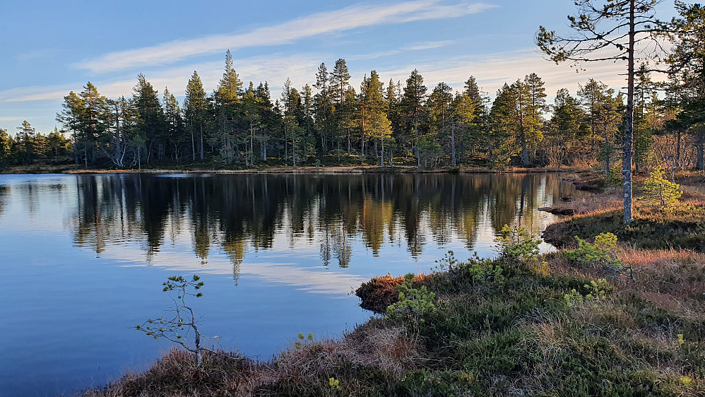 Store Granstjern, like nord for toppen av Eggaraksla (591), som befinner seg i skogen på andre siden av tjernet.