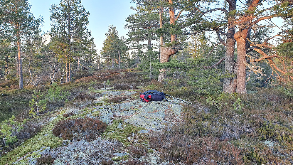 Temmelig flatt på toppen av Eggaraksla (591), som består av tre jevnhøye, slake hauger. Sekken min ligger på den midterste.